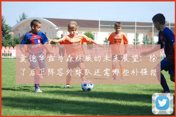 爱德华兹与森林狼的未来展望：除了后卫阵容外球队还需哪些补强措施